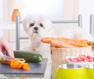 Preparing natural food for pets