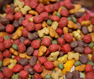 How to Choose the Right Dog Food 2