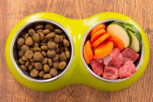 Dog Food for your Dog